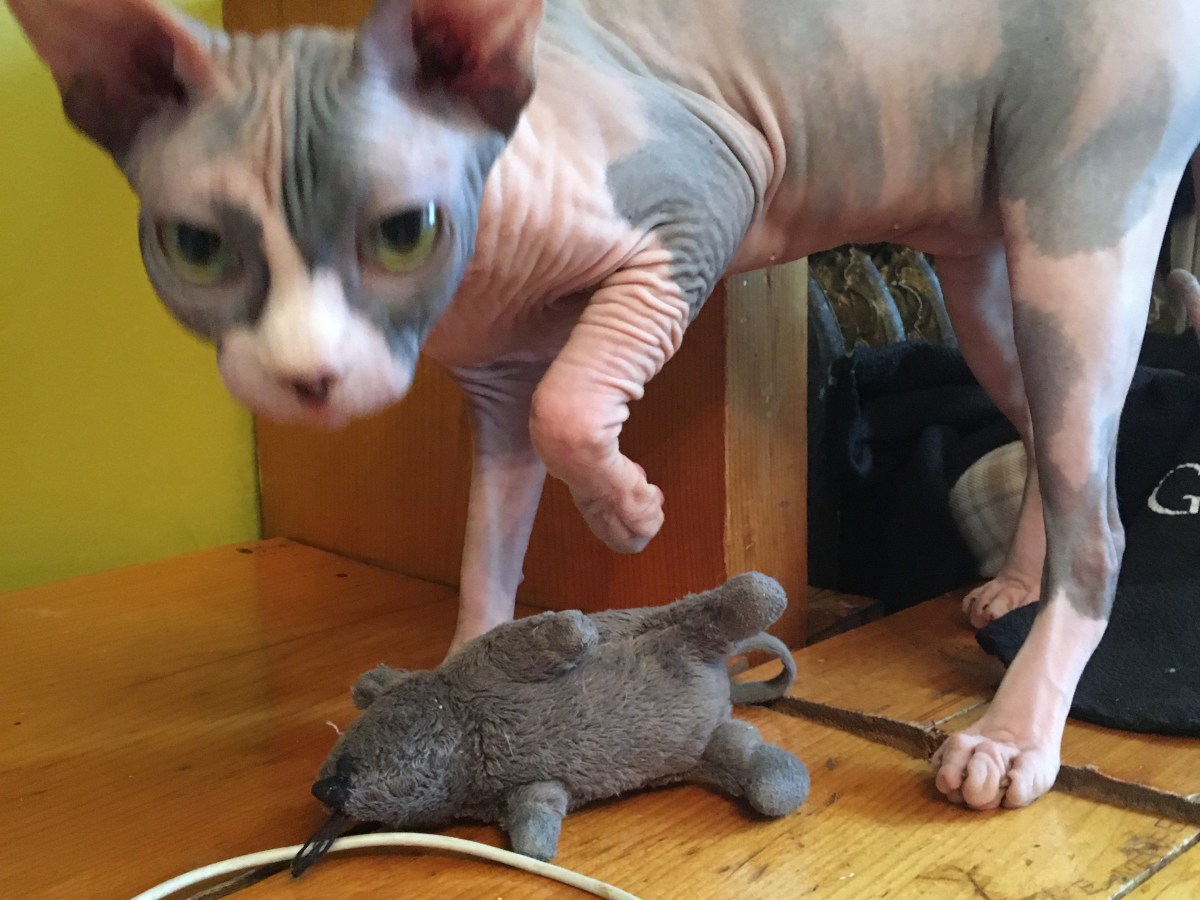 Lying About My&nbsp;Age